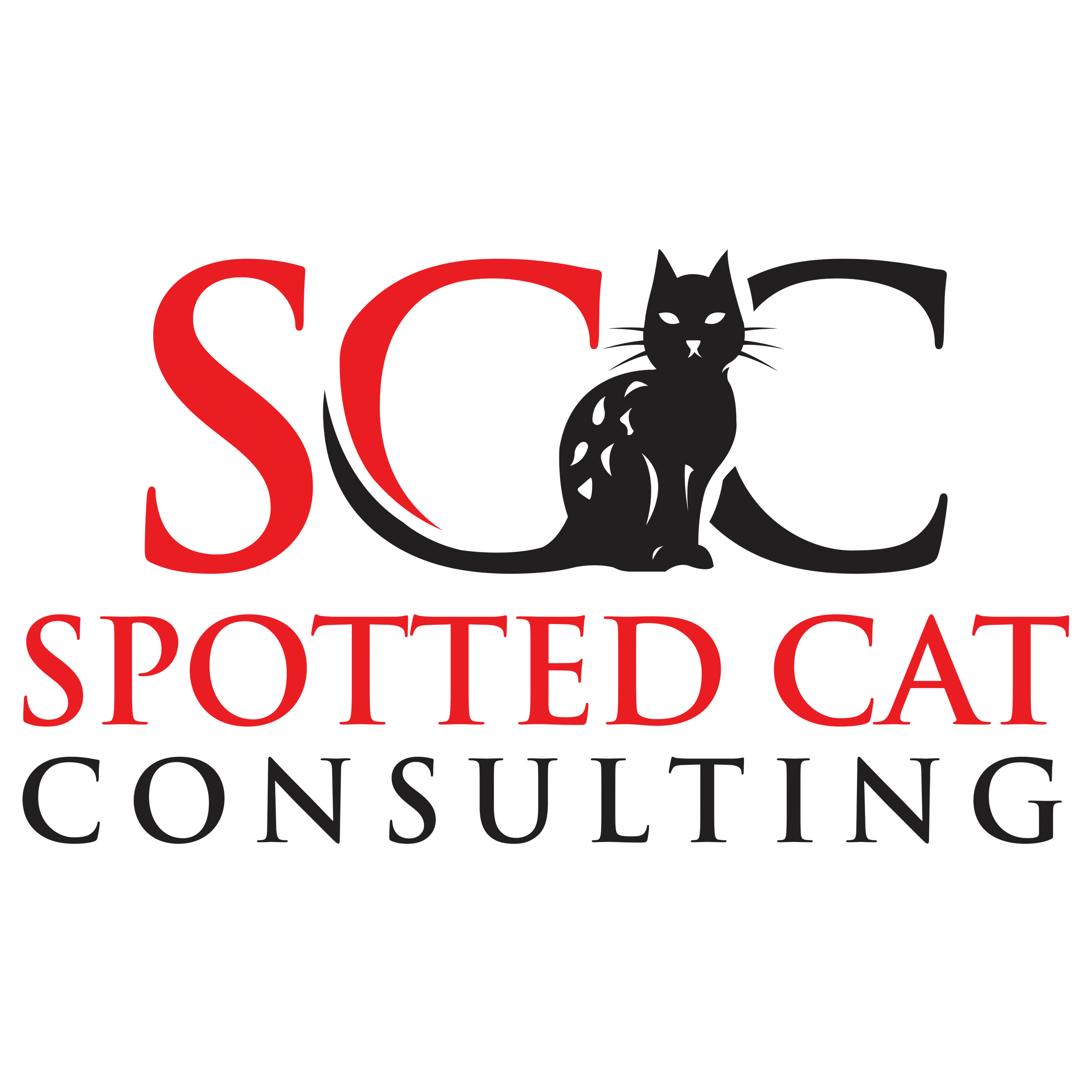 Spotted Cat Consulting